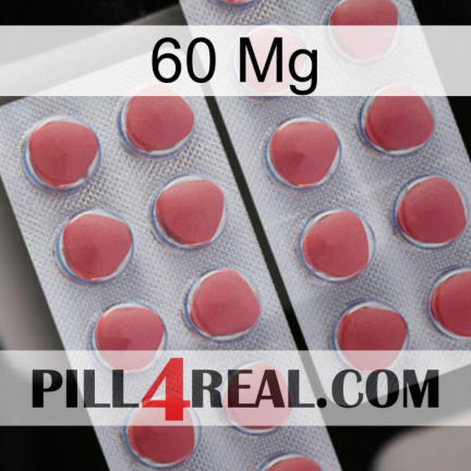 60Mg 19